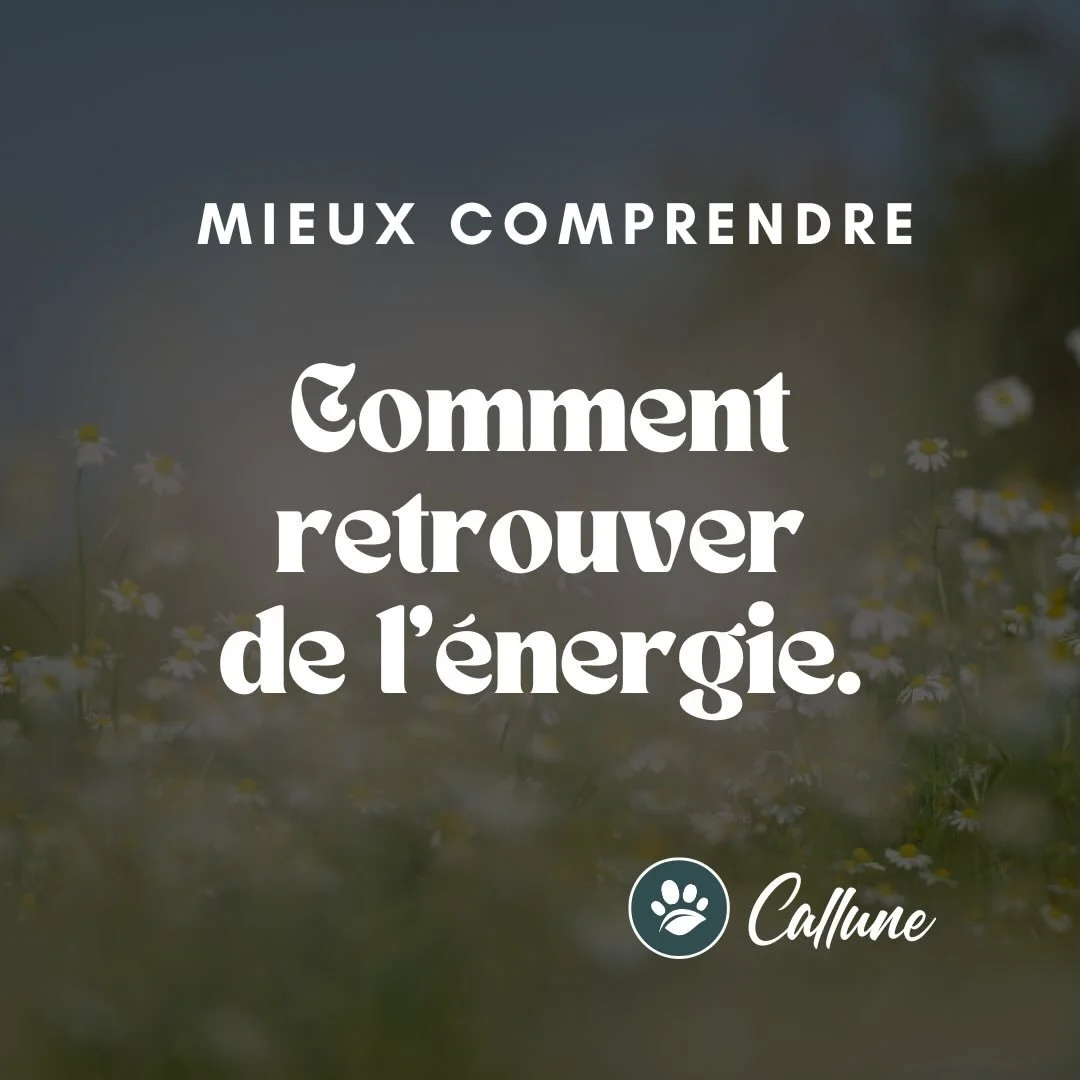 🌿 Mieux comprendre : comment retrouver de l&rsquo;&eacute;nergie.

L&rsquo;&eacute;puisement fait partie des principaux sympt&ocirc;mes que je vois en consultation. Des hommes et des femmes fatigu&eacute;s, &eacute;puis&eacute;s, rinc&eacute;s, &agr