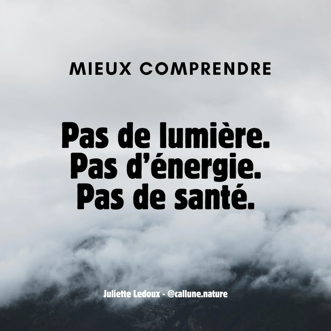 ☀️Pas de lumi&egrave;re. Pas d&rsquo;&eacute;nergie. Pas de sant&eacute;.

La lumi&egrave;re n&rsquo;est pas seulement belle.

Elle r&eacute;gule notre horloge biologique, active nos hormones, transforme nos aliments en &eacute;nergie, stimule notre 