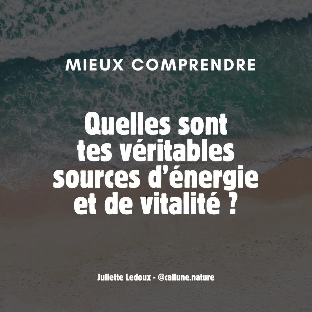 ☀️ Quelles sont tes v&eacute;ritables sources d&rsquo;&eacute;nergie et de vitalit&eacute; ?

Notre corps et notre esprit sont de v&eacute;ritables r&eacute;servoirs d&rsquo;&eacute;nergie, mais pour qu&rsquo;ils fonctionnent pleinement, ils ont beso