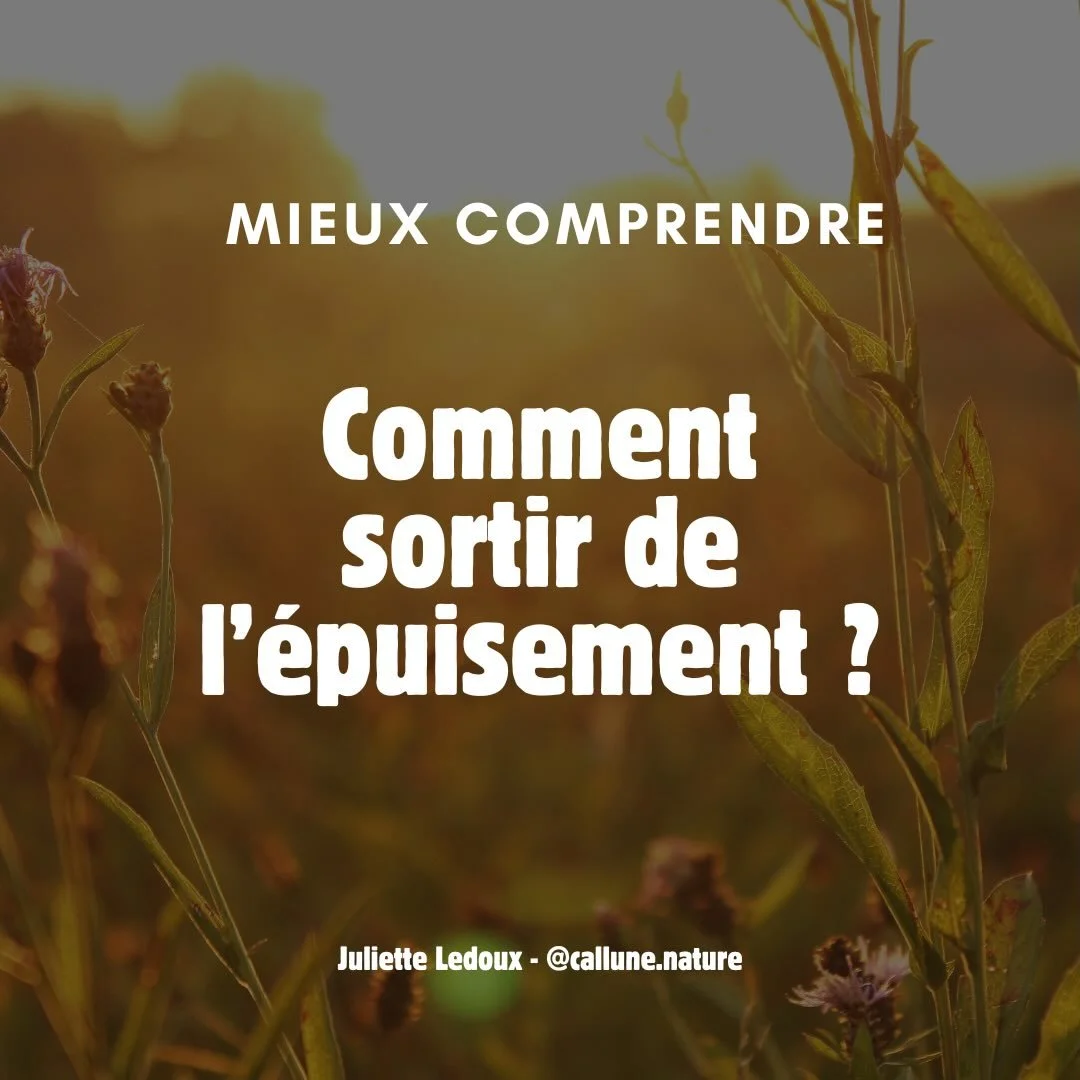 🌿 Mieux comprendre : comment sortir de l&rsquo;&eacute;puisement ?

On banalise tellement la fatigue aujourd&rsquo;hui qu&rsquo;on finit par croire qu&rsquo;&ecirc;tre &eacute;puis&eacute; est normal.

Pourtant, une fatigue qui s&rsquo;installe n&rs