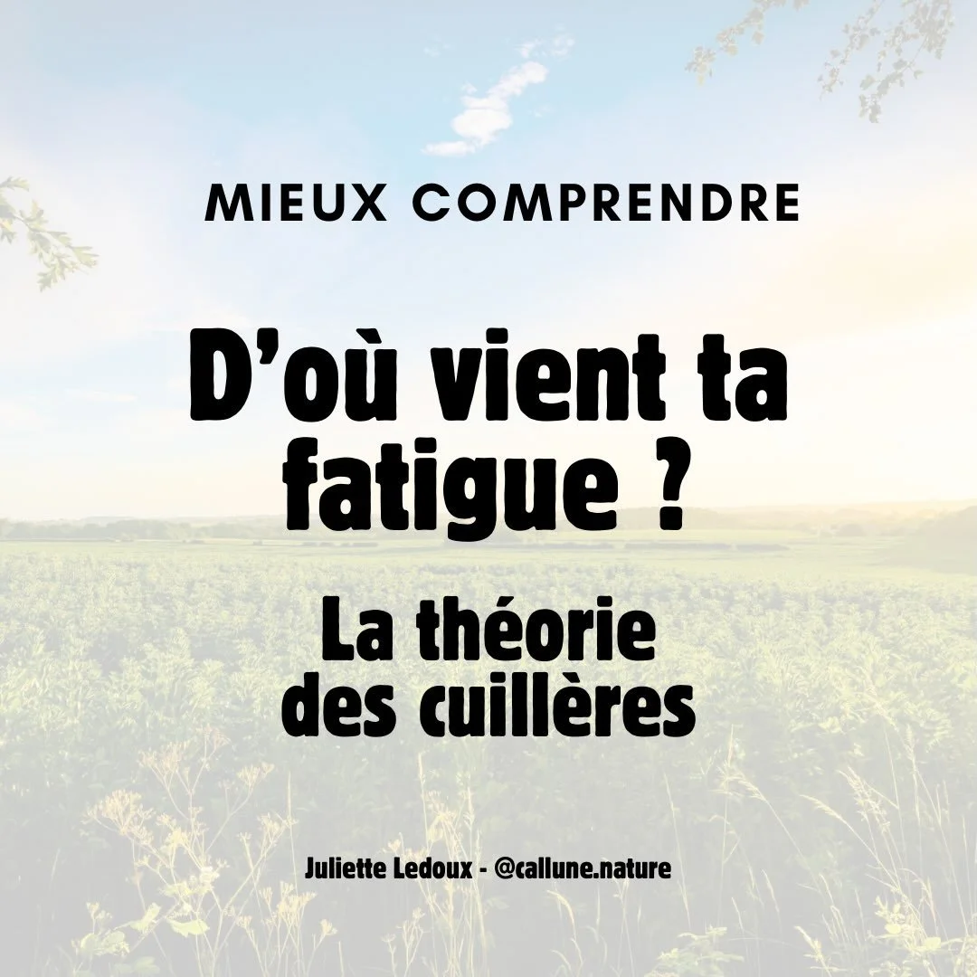 🌿 Mieux comprendre : d&rsquo;o&ugrave; vient ta fatigue ?

Vous connaissez la th&eacute;orie des cuill&egrave;res ?

La premi&egrave;re fois que je l&rsquo;ai d&eacute;couverte, je me suis dit : mais c&rsquo;est exactement &ccedil;a !

Parce qu&rsqu