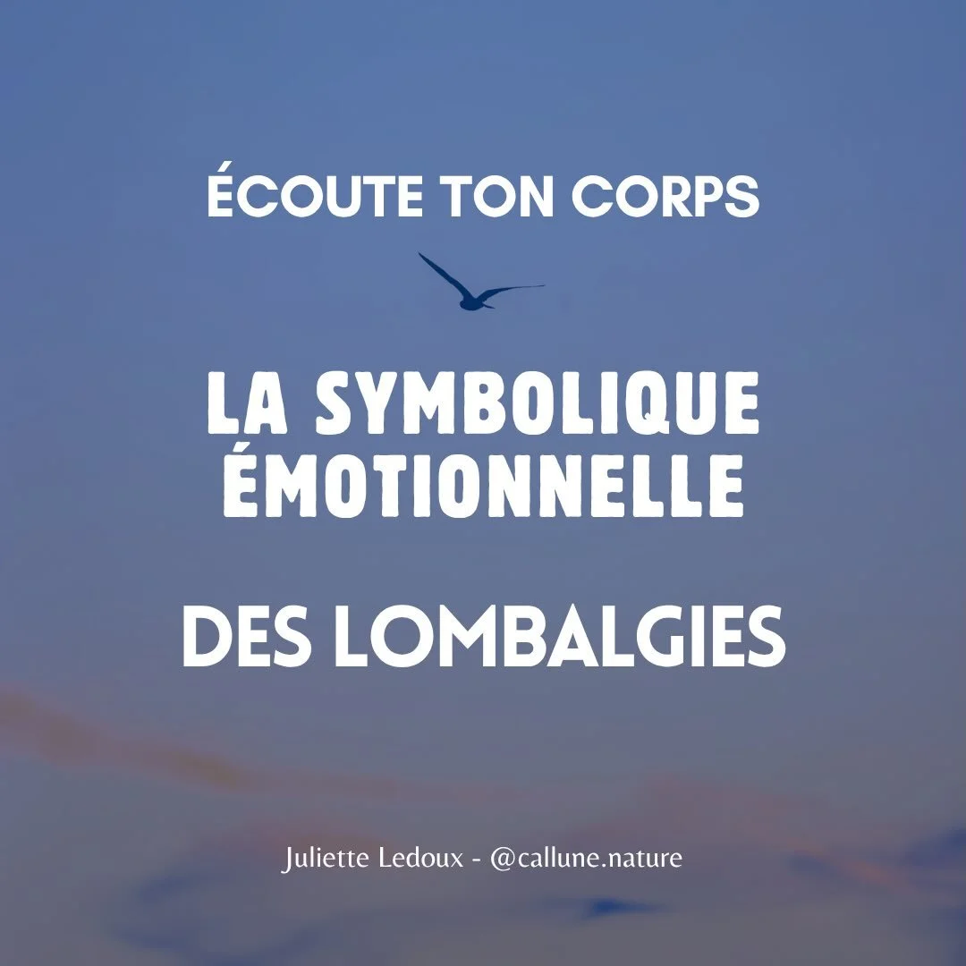 👄 La symbolique &eacute;motionnelle des lombalgies.

Le corps et le psychisme sont &eacute;troitement li&eacute;s.

Nos &eacute;motions ne disparaissent pas lorsqu&rsquo;elles ne sont pas exprim&eacute;es : elles peuvent s&rsquo;imprimer dans le cor