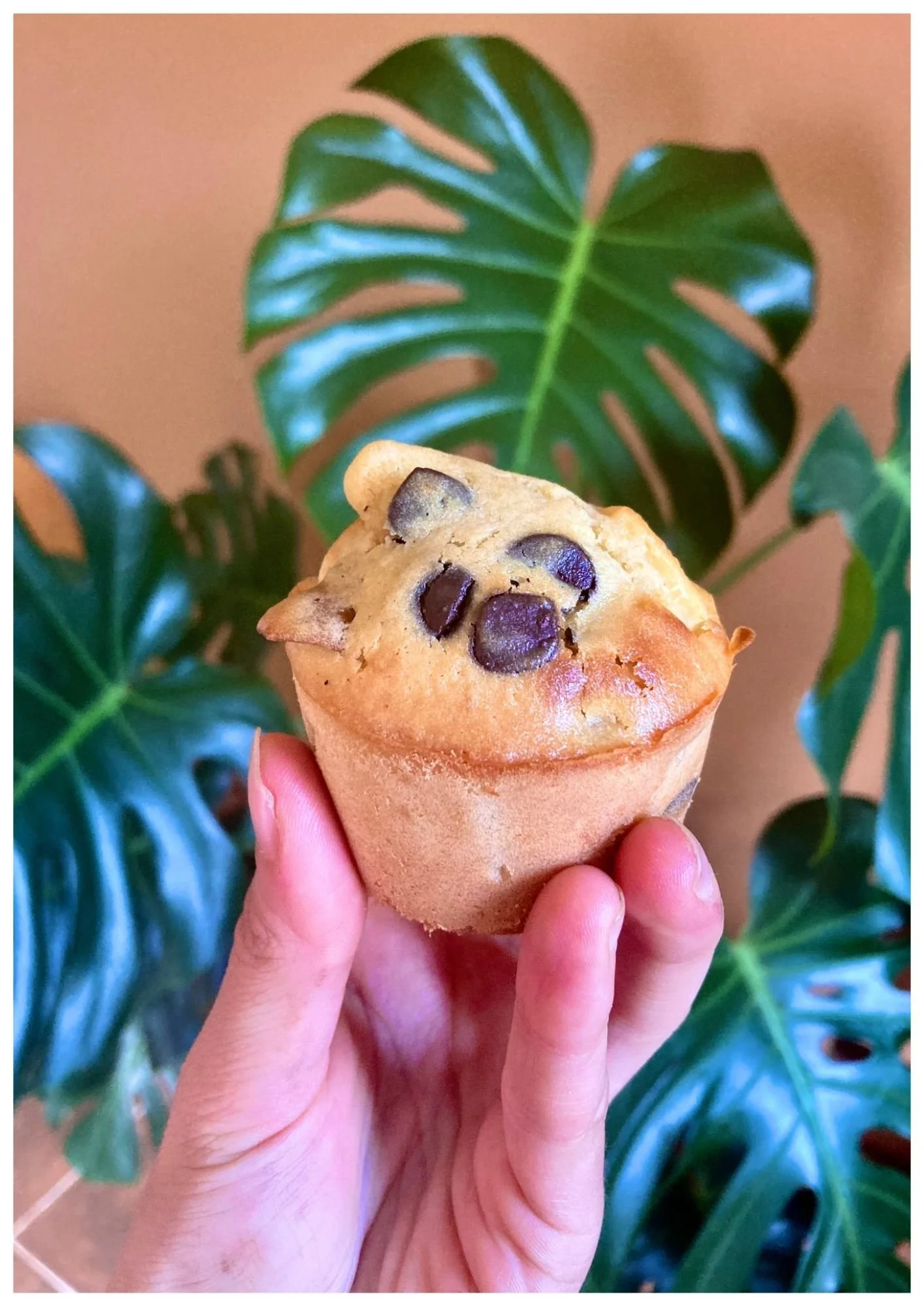 eBook recettes ancestrales (3).jpg