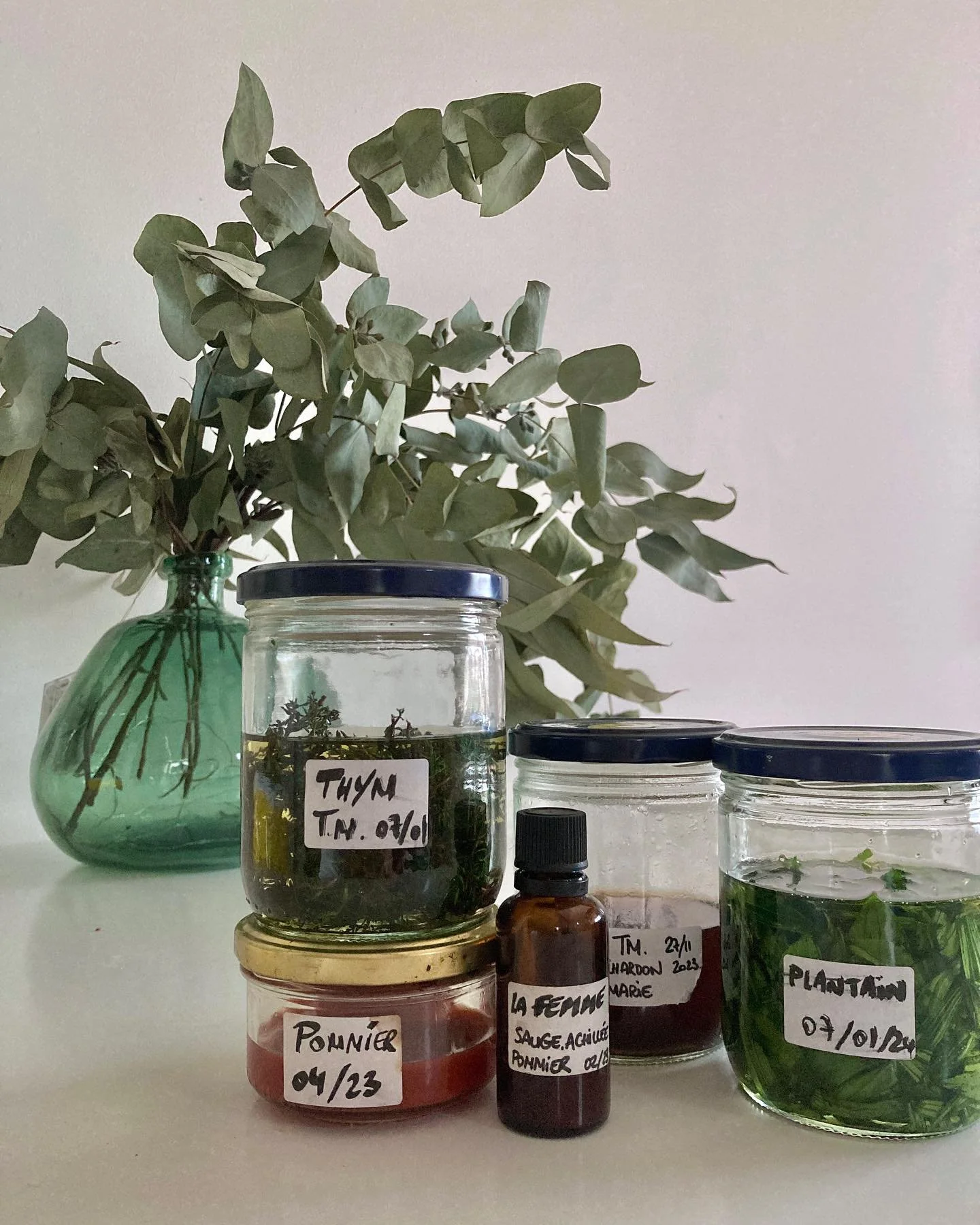 Bocaux d'herbes et flacons sur une table avec un vase de feuilles sèches en arrière-plan. Étiquettes indiquant thym, plantain, Ponnier, et autres herbes. Flacon compte-gouttes marqué "la femme."