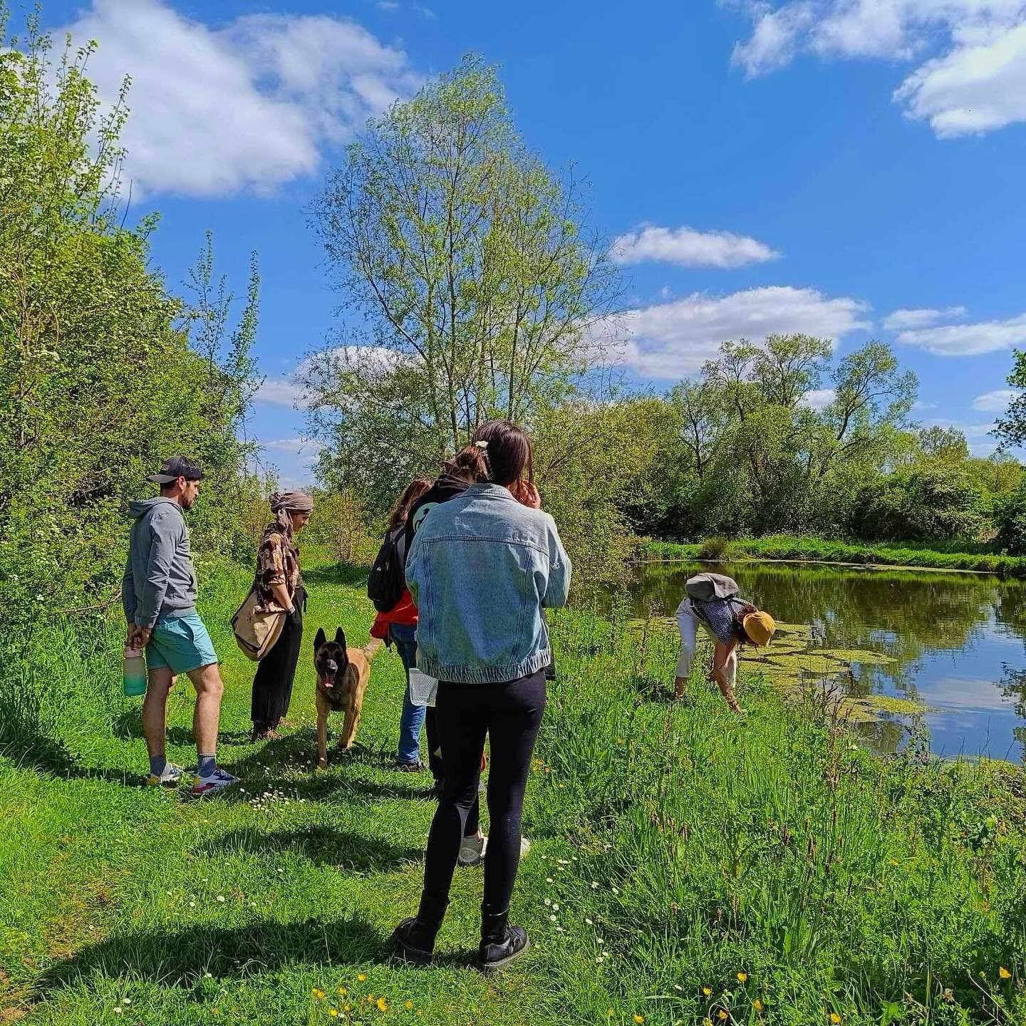 Groupe de personnes et un chien près d'un étang dans un paysage naturel avec des arbres et un ciel bleu.