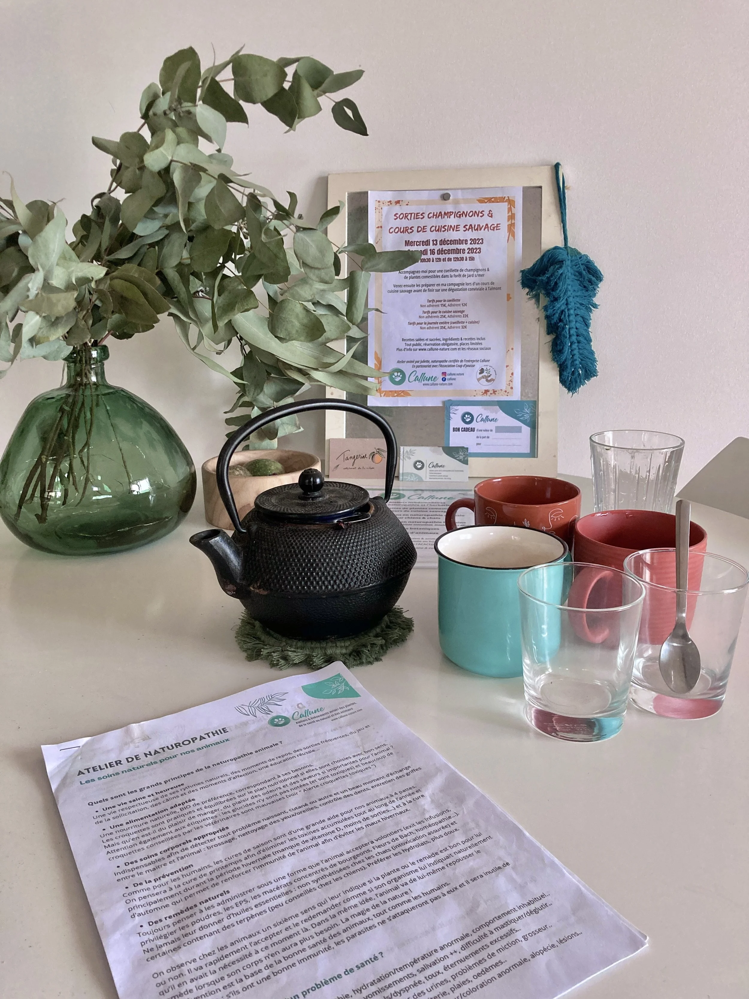 Table décorée avec des tasses colorées, une théière en fonte noire, et un vase avec des feuillages verts. En arrière-plan, un cadre avec une affiche sur des sorties aux champignons et un atelier de naturopathie. On voit également un document avec du texte sur la table.