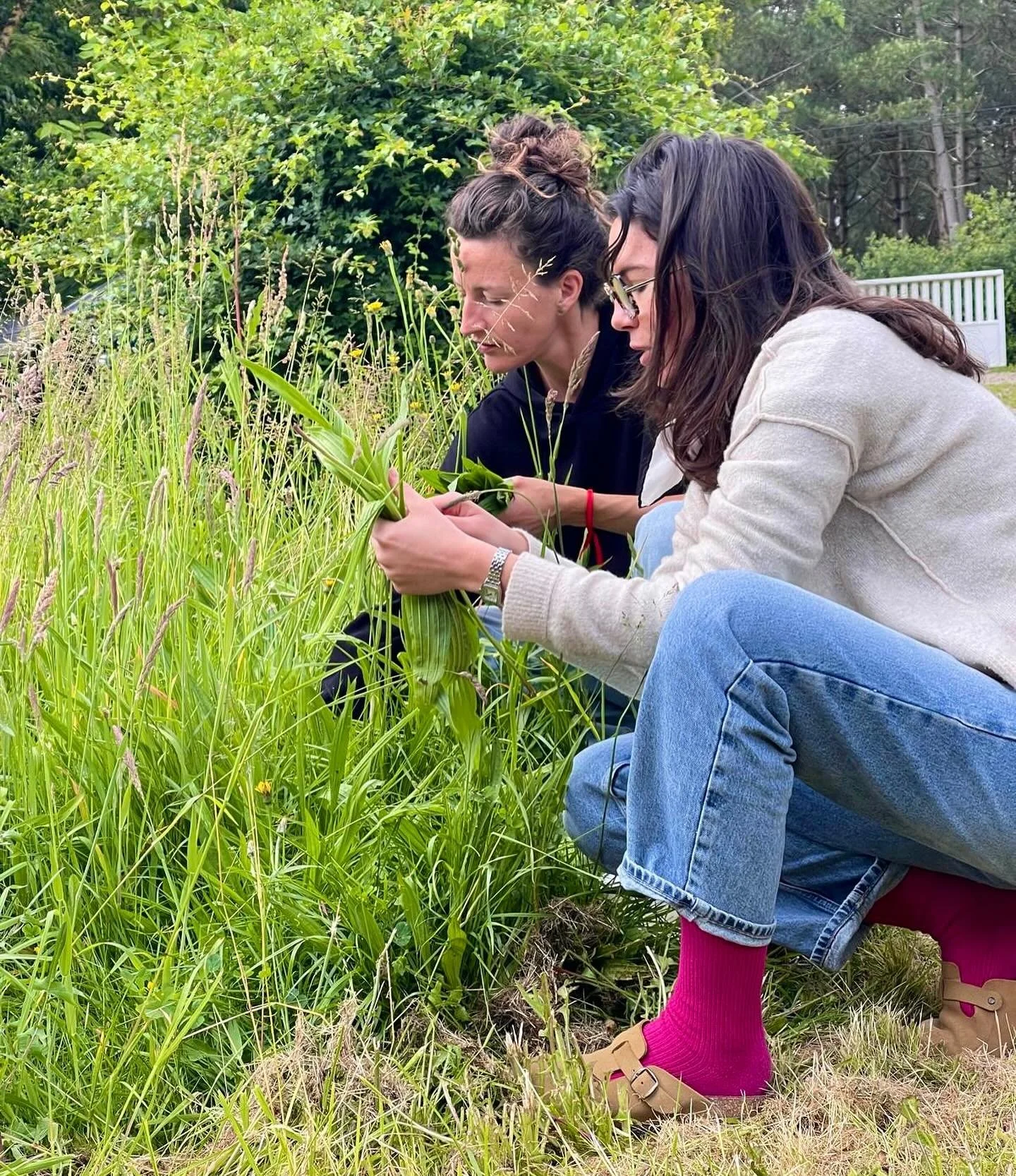 Deux personnes cueillent des plantes dans un champ verdoyant.