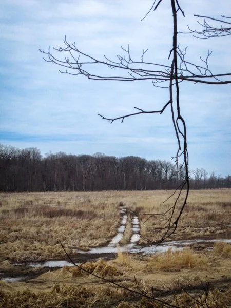 Mentor Marches 
Canon Powershot SD780 (Circa 2009)