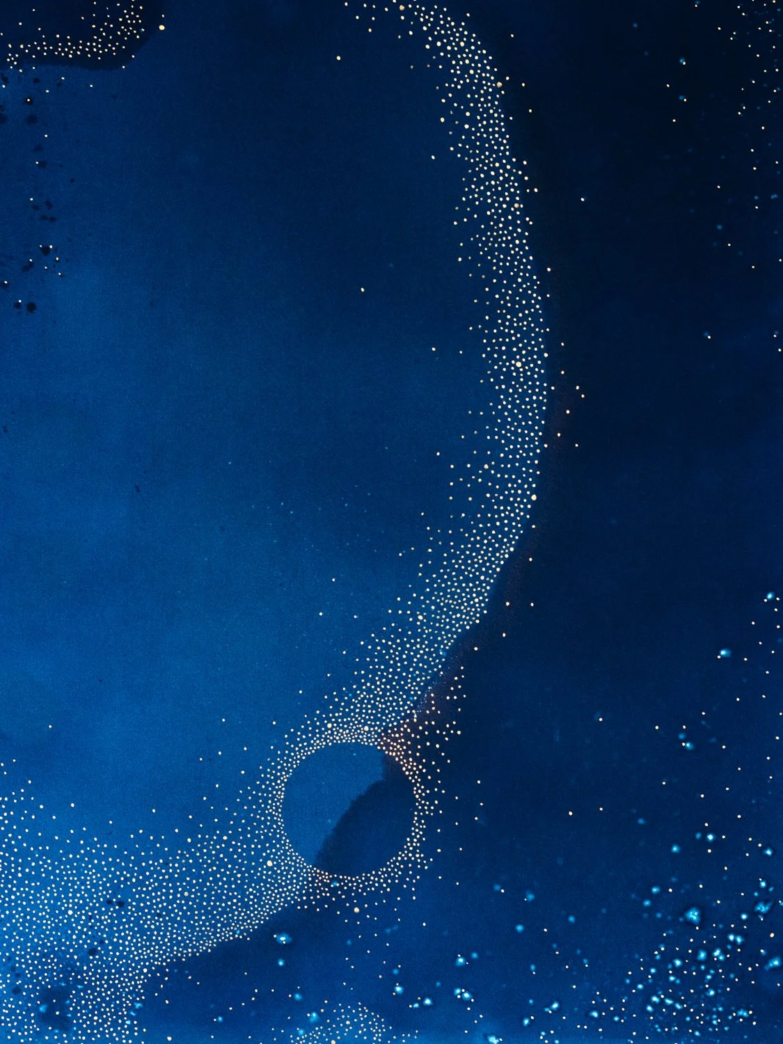 Circular Anomaly
20" x  16"
Gold ink over cyanotype painting on watercolor paper 