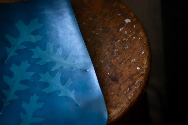Cyanotype on leather 2025