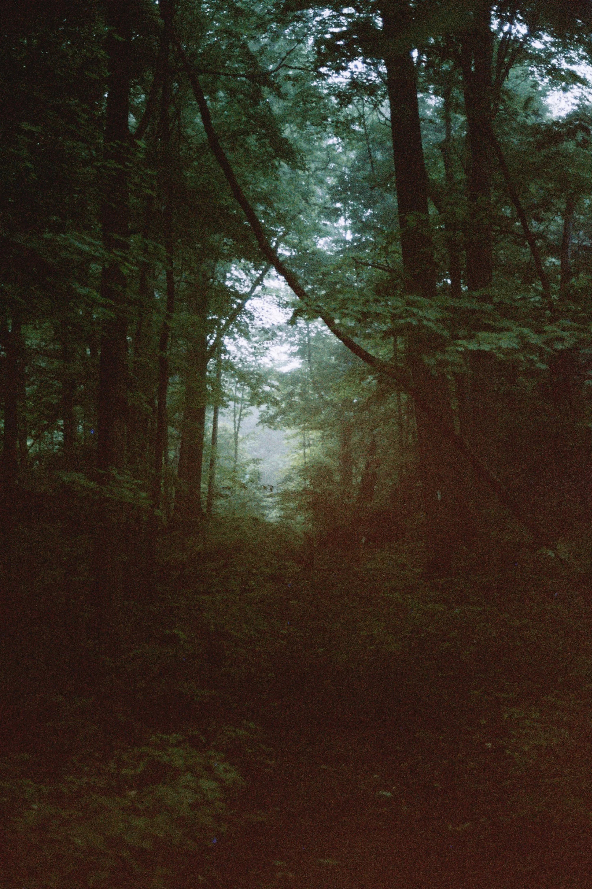 ---_0038.jpg