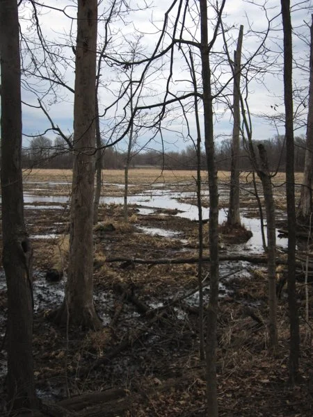 Mentor Marches 
Canon Powershot SD780 (Circa 2009)