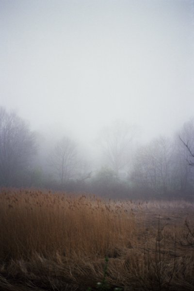 20A_0314.jpg