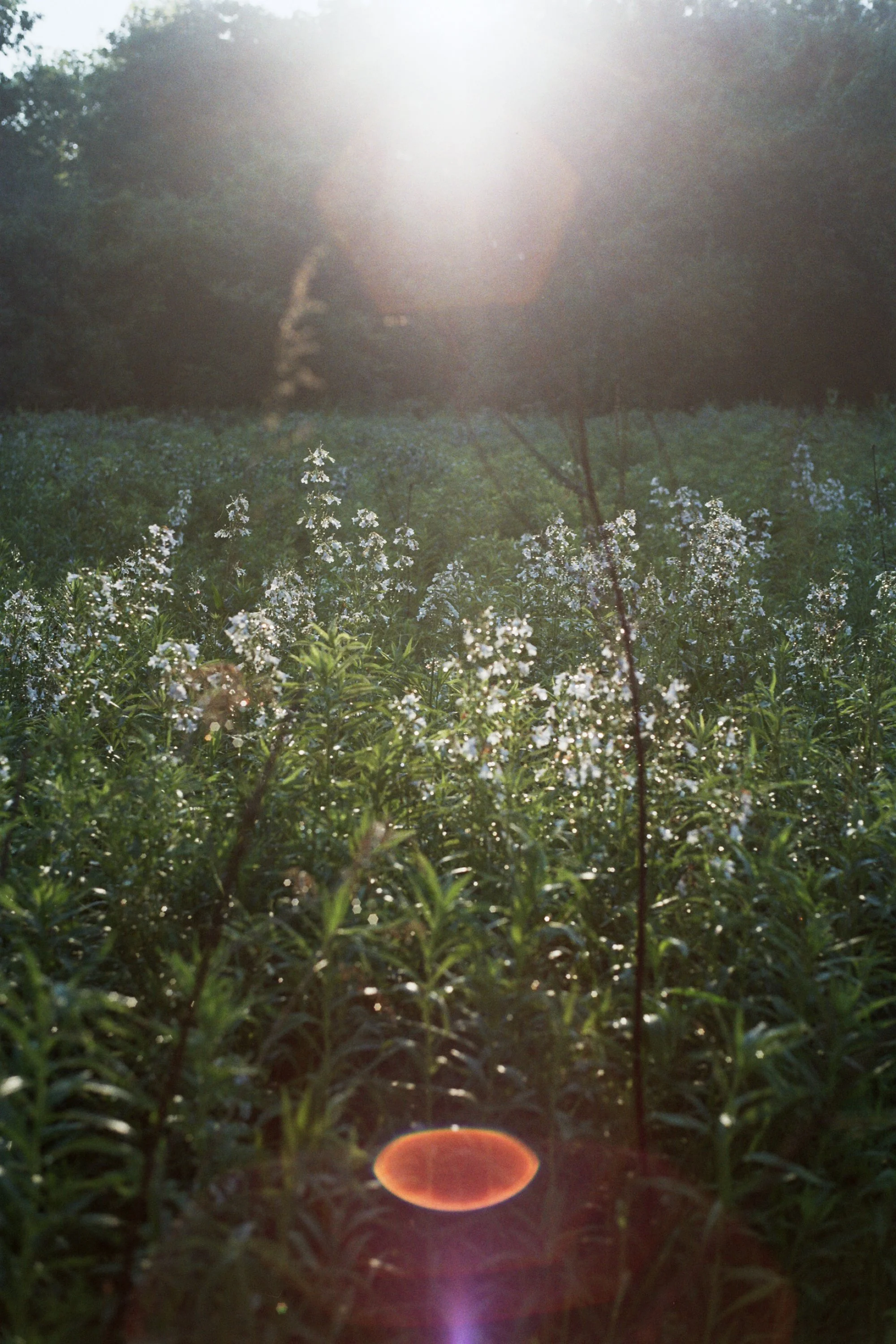 34A_0102.jpg