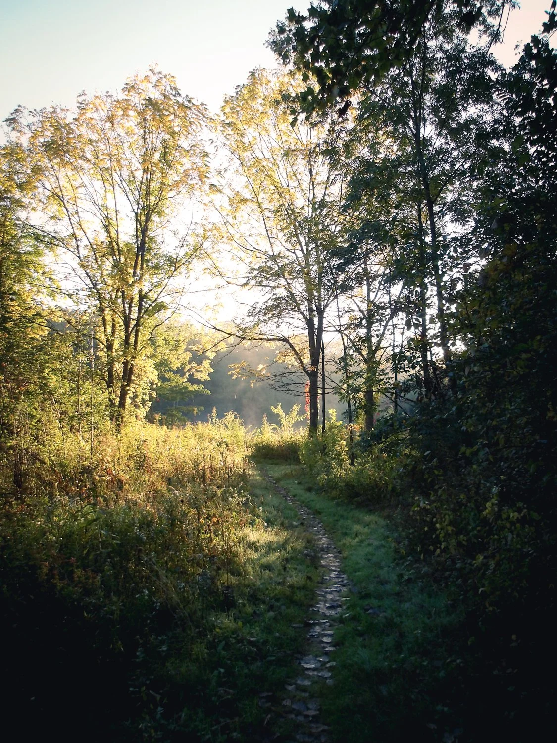 100_0417.jpg