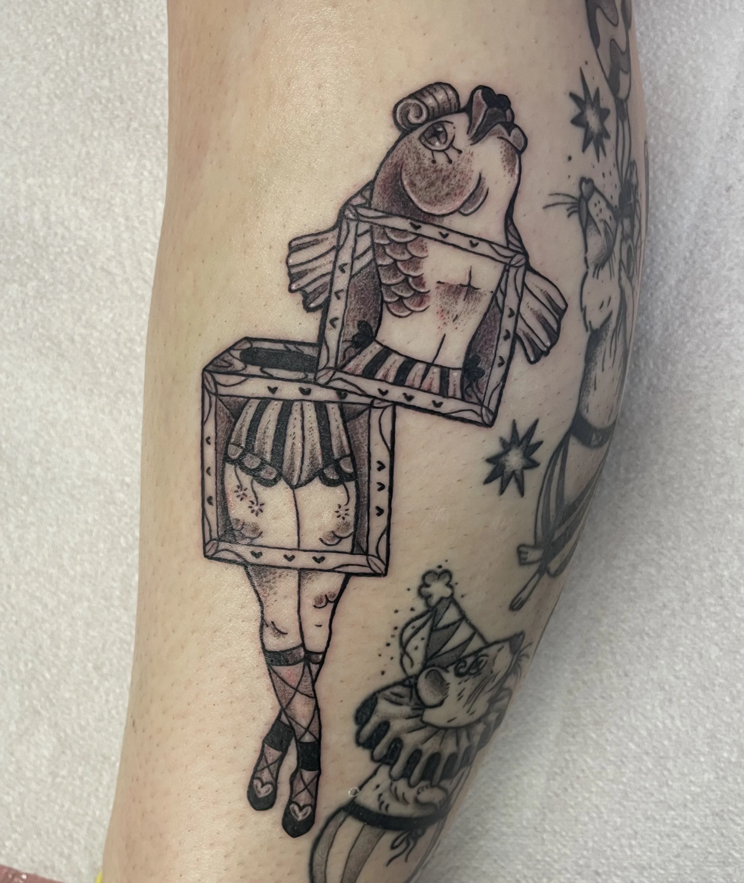 A black and grey American traditional tattoo of a circus performer who has a fish torso and a human bottom half. She is in a magician's boxes and cut in half. She has striped pantaloons and gingham socks with ballet slippers on.