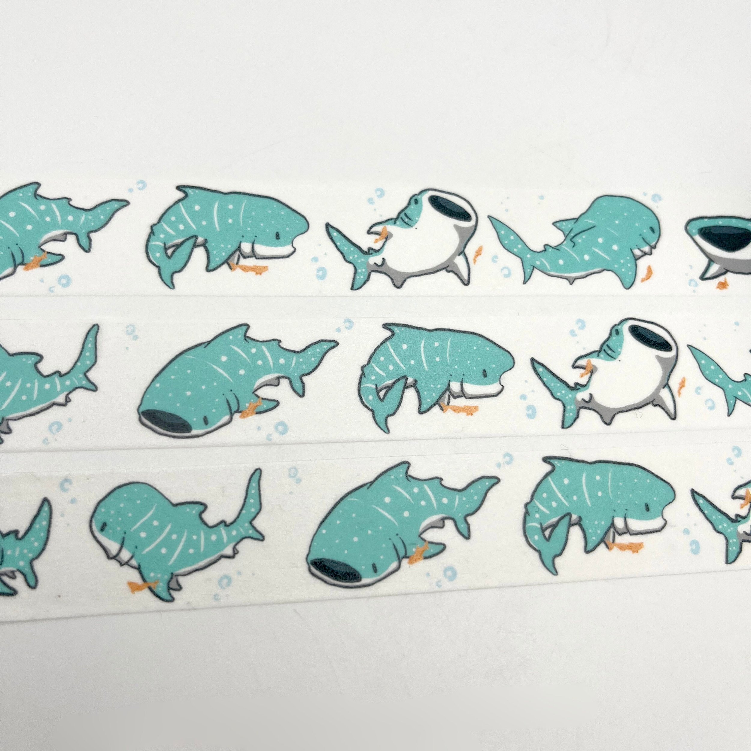 whalesharkwashi3.jpg