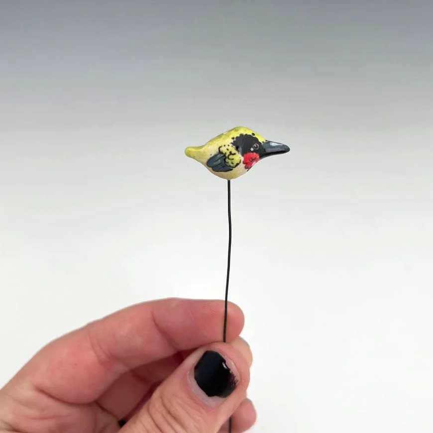birdstakes8.jpg