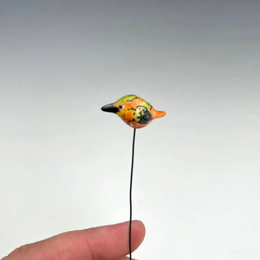 birdstakes9.jpg