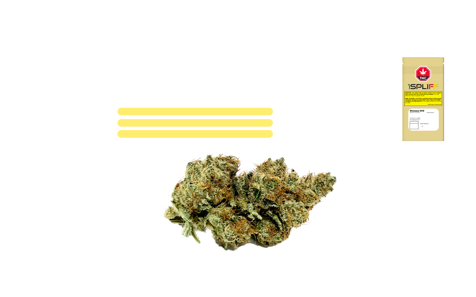 Mmmosa Evo dried flower – citrus forward strain with orange and tropical notes