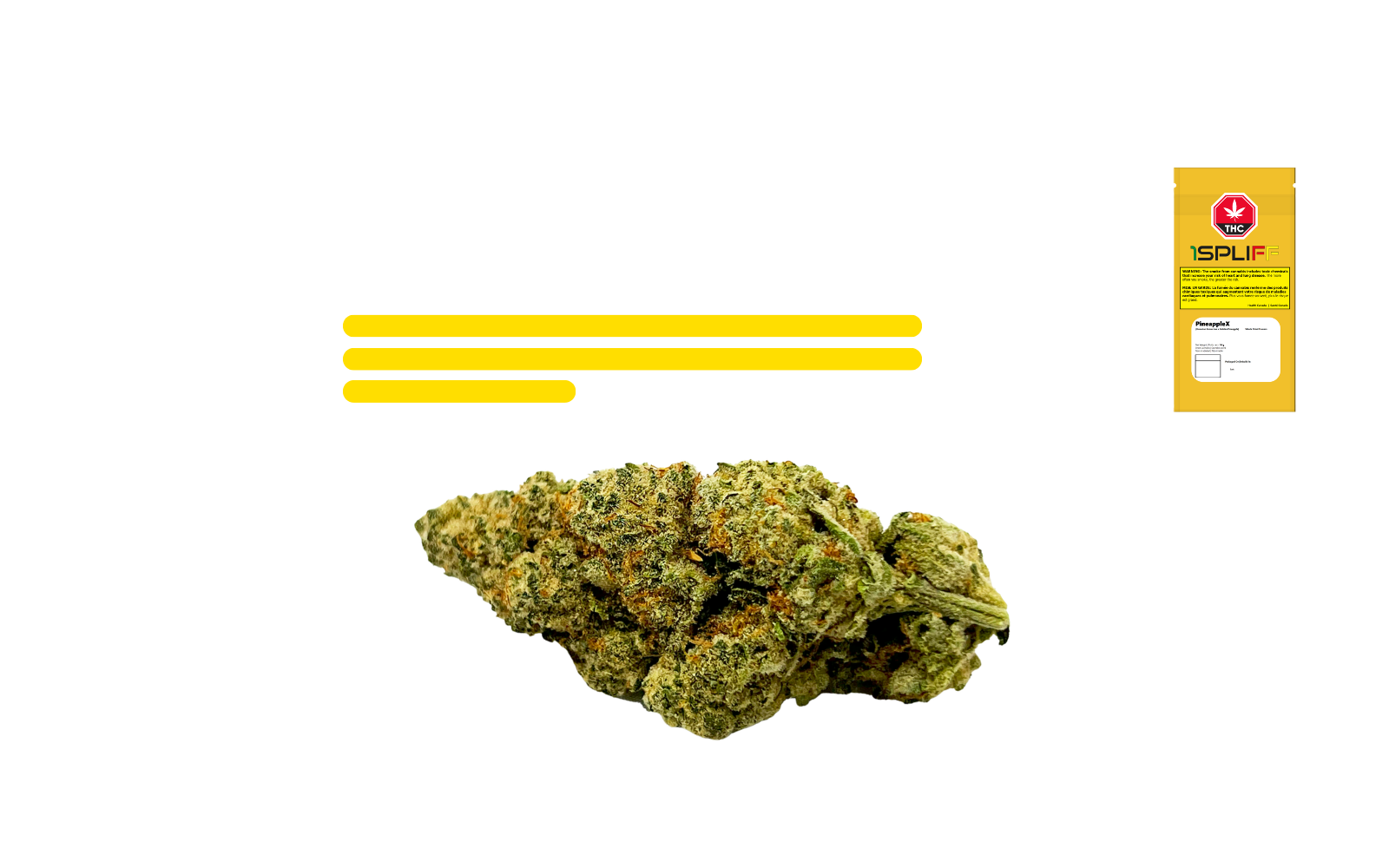 PineappleX dried flower – tropical pineapple strain with sweet citrus profile