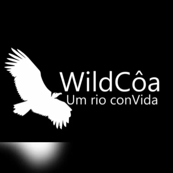file (1).png