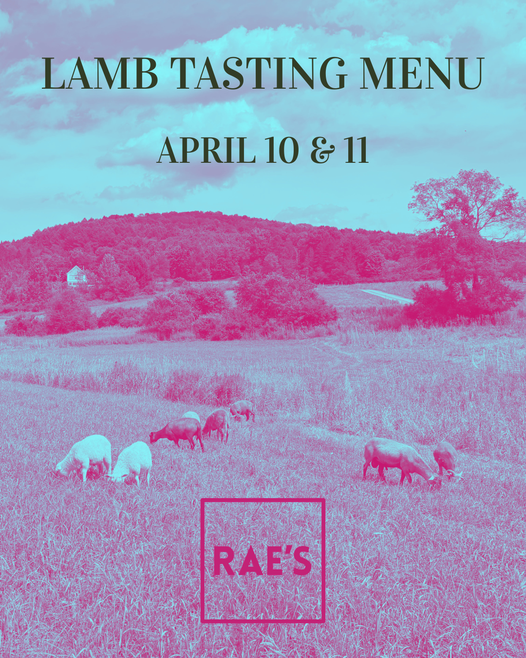 Lamb Tasting Menu