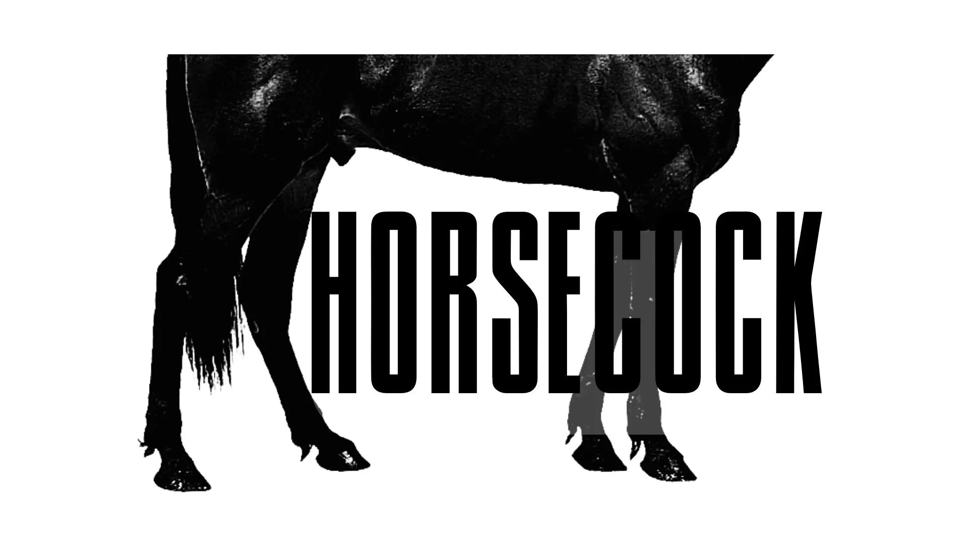 Horsecock website image.jpg