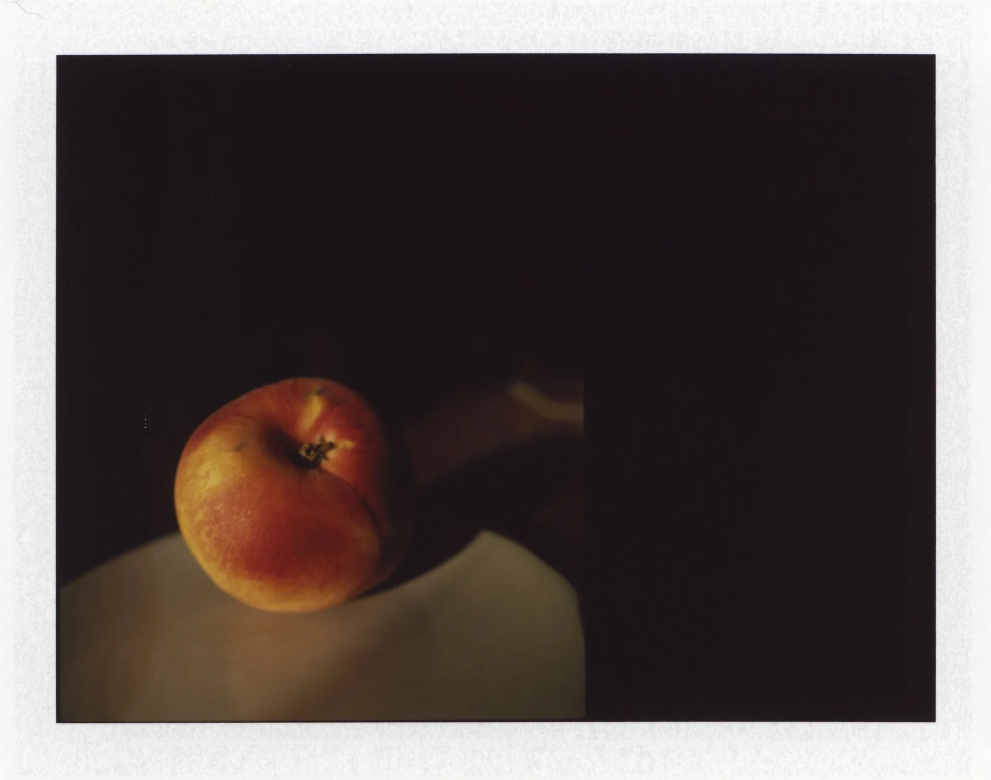 FP-100c 1.jpg