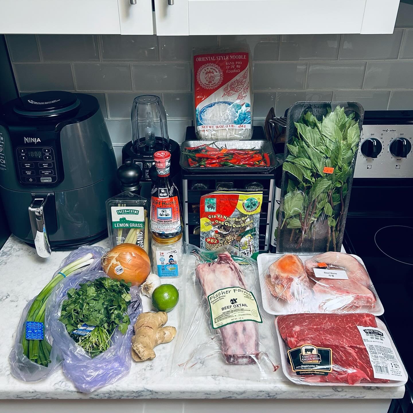 Counter with ingredients including beef, chicken, vegetables, herbs, garlic, lime, ginger, chili, soy sauce, and rice, along with an air fryer, blender, and potted herbs in a kitchen.