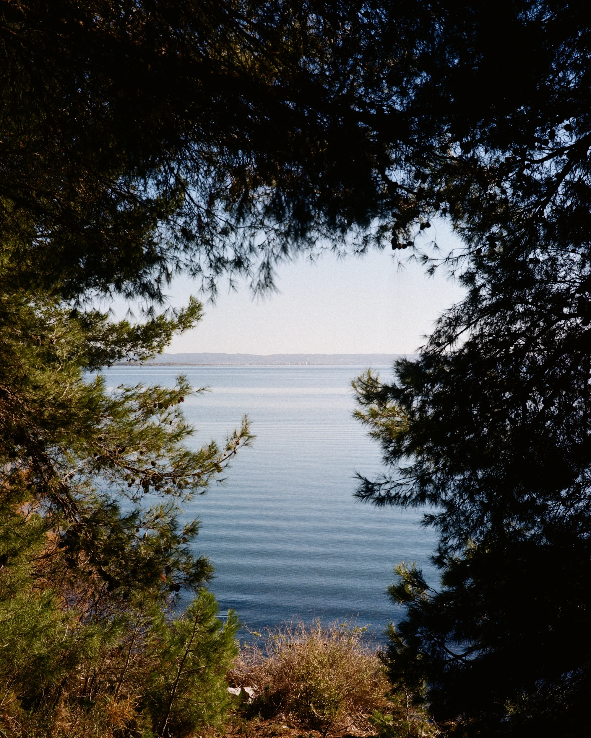 EtangBerre_Sullylux-22.webp