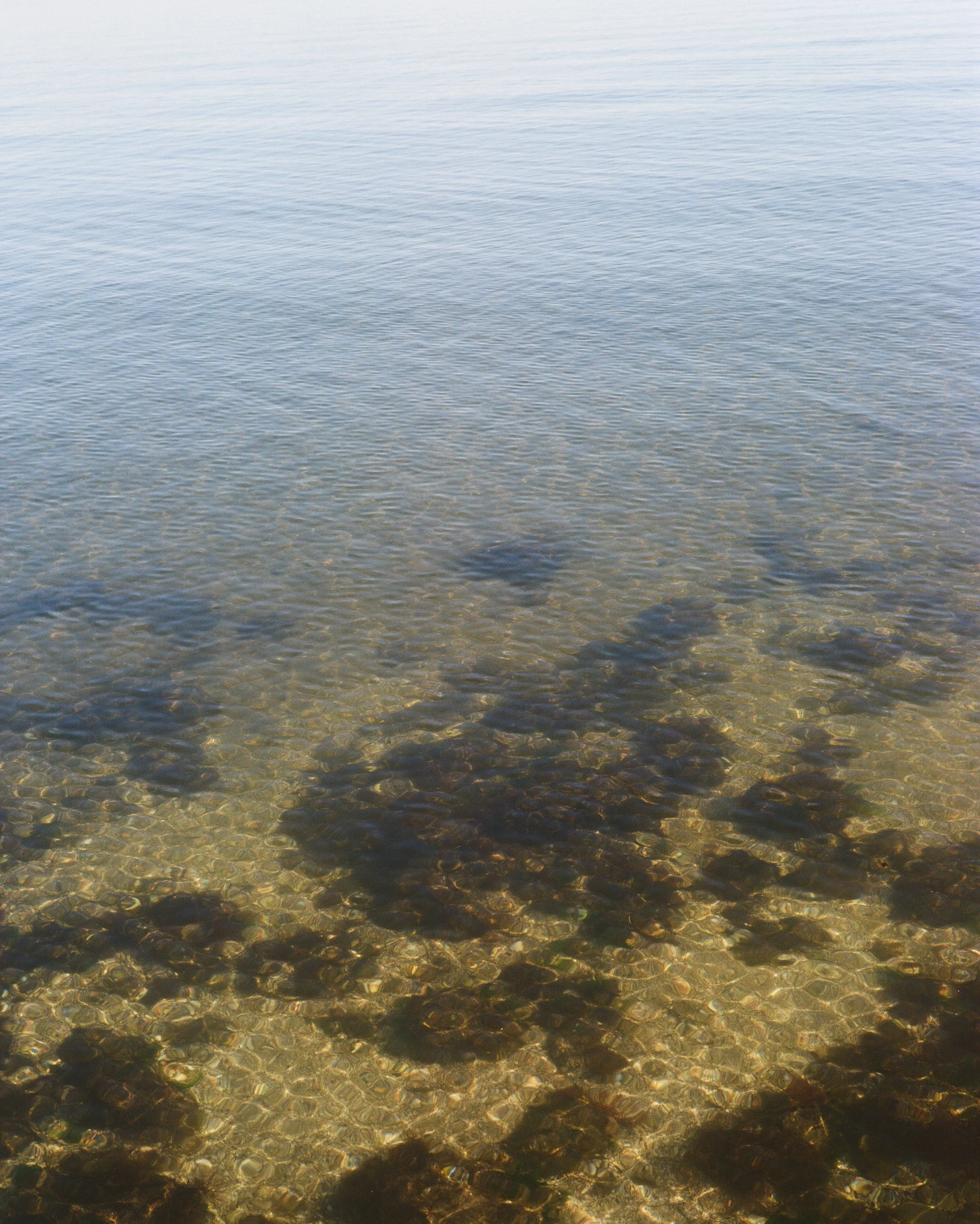 EtangBerre_Sullylux-23.webp