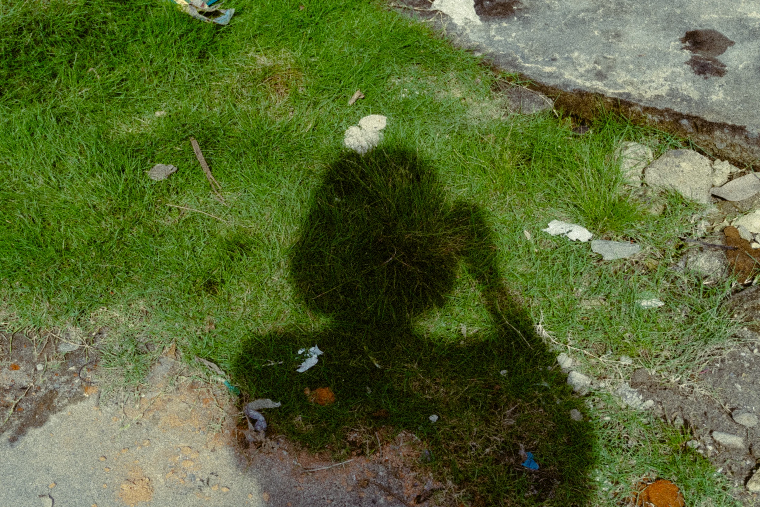 WithinTheRadius_13.webp