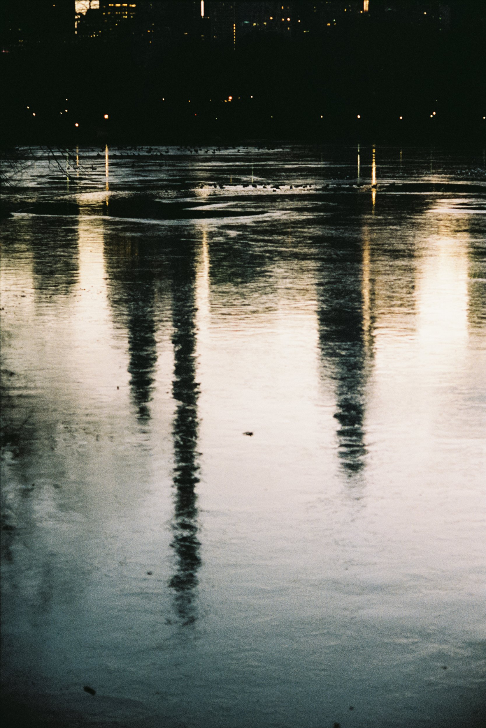 NewYork_Sullylux_noborder-29.jpg