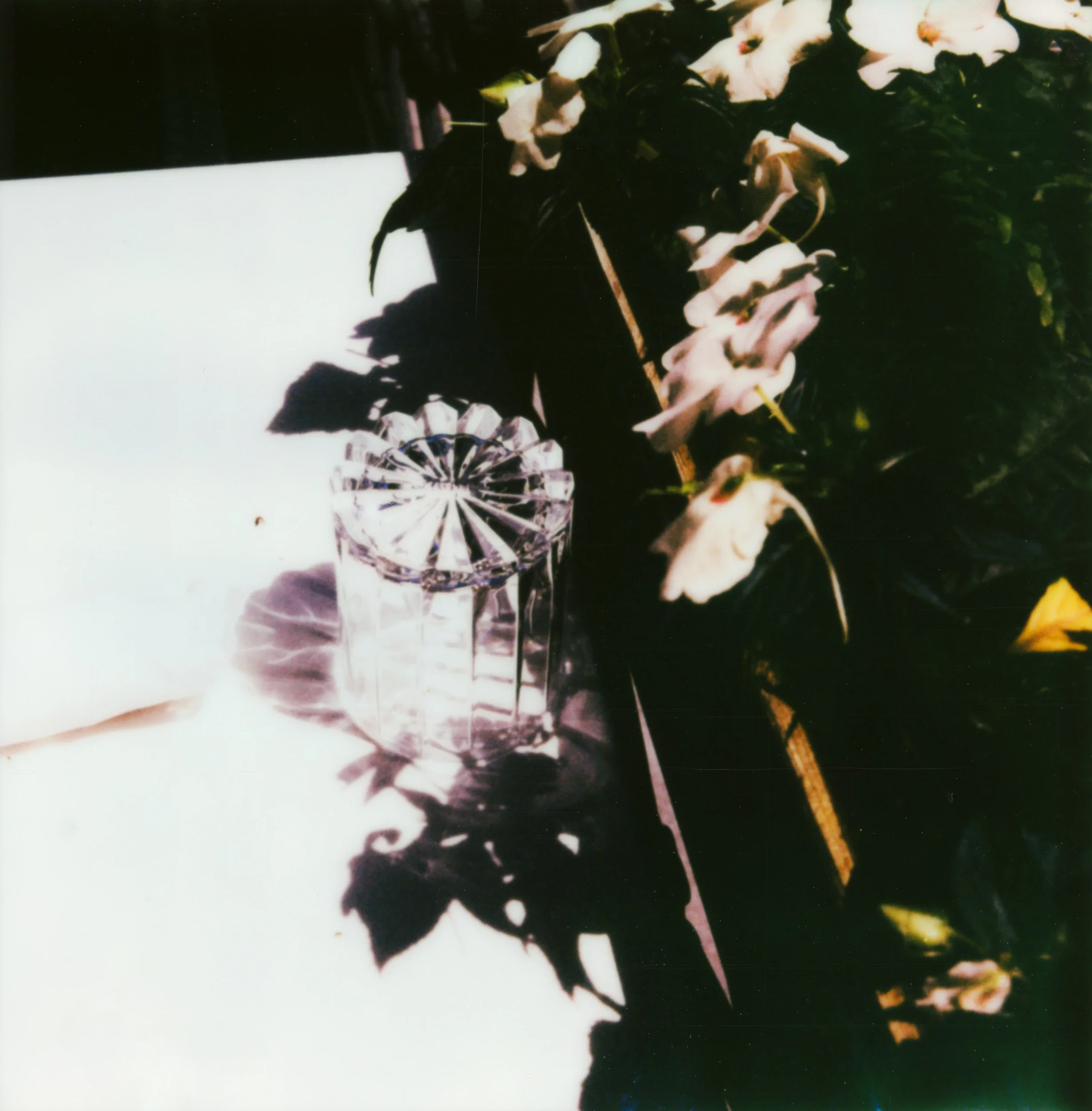 CityOfStars_Sullylux-2.webp