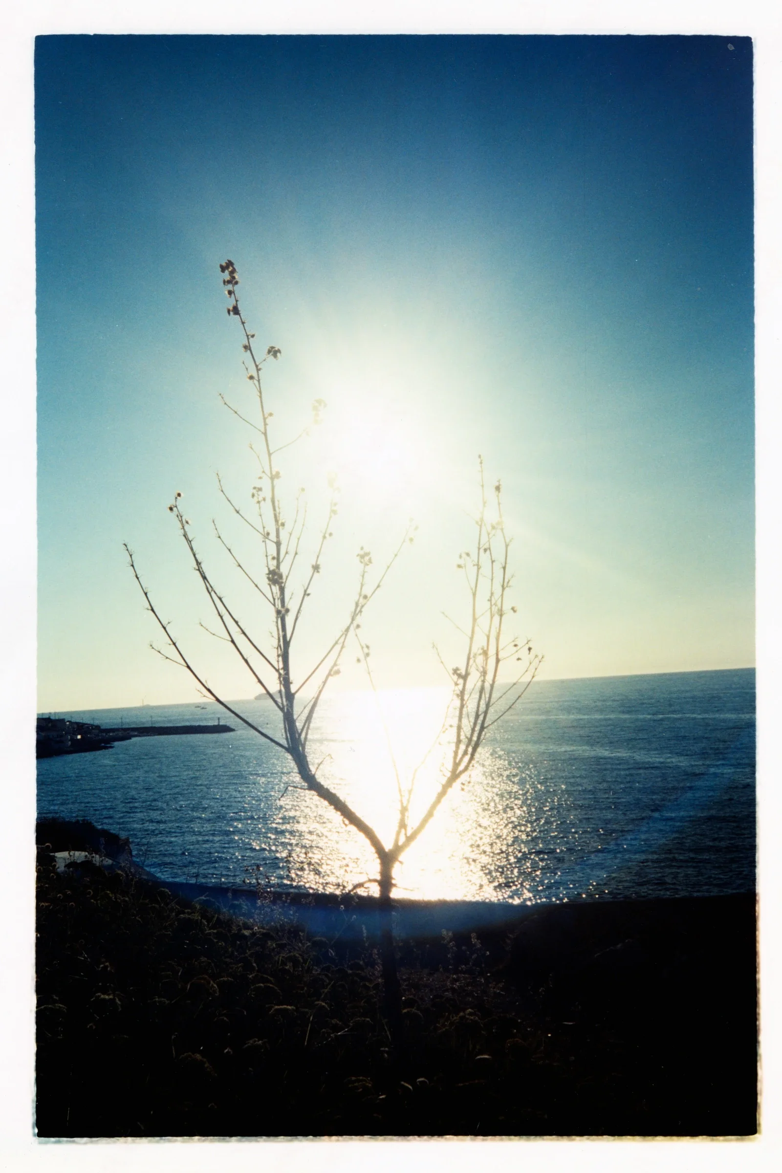 Skyline of Marseille, France 2025