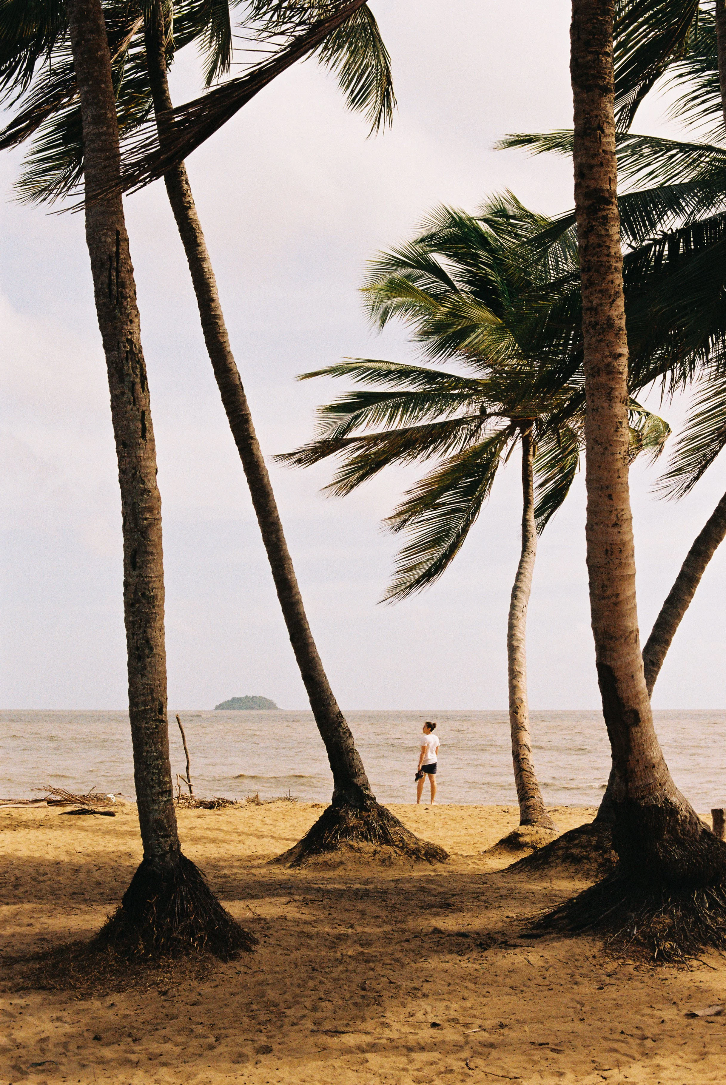 Guyane4-3.jpg