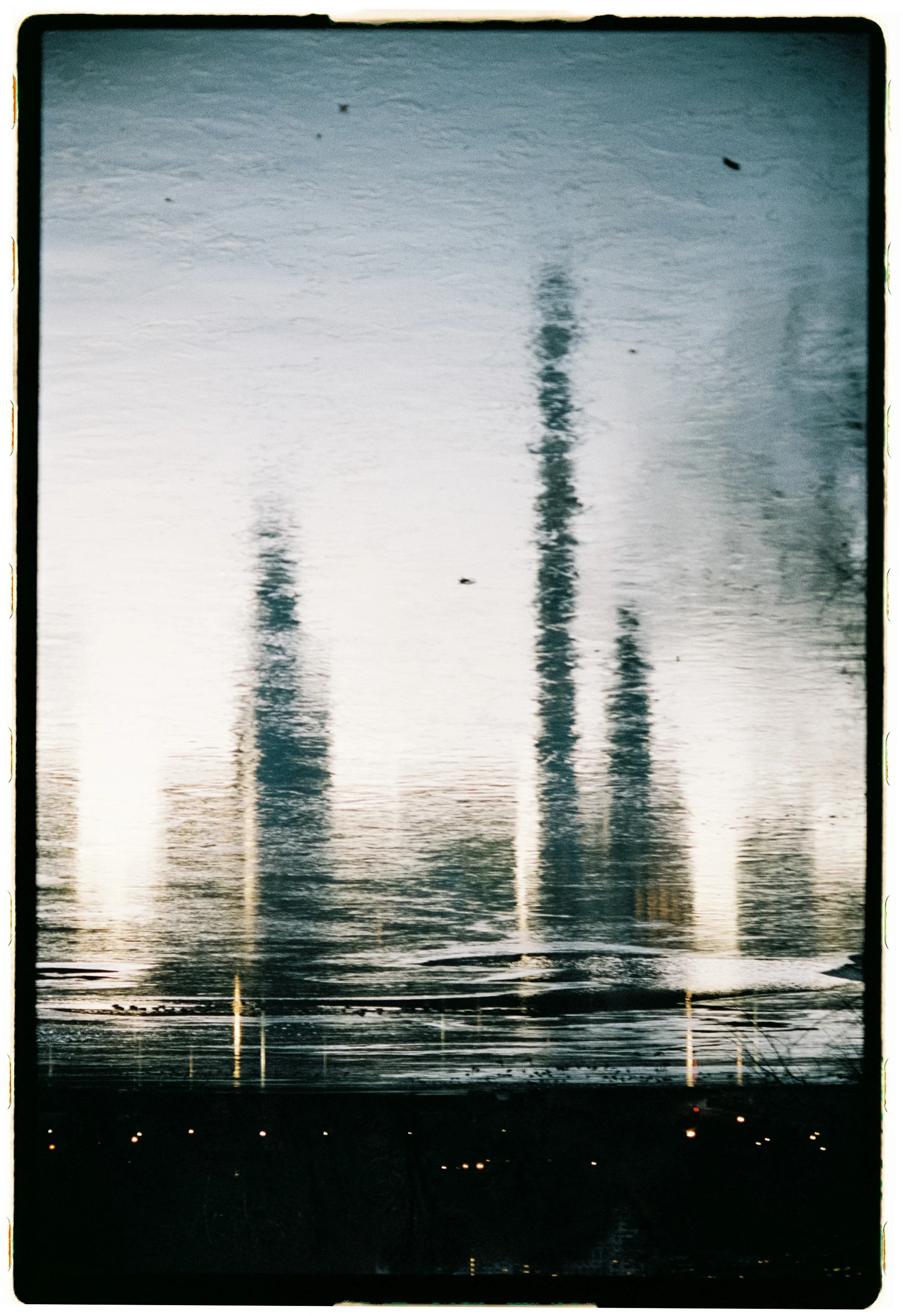 Central Park, NY, 2025