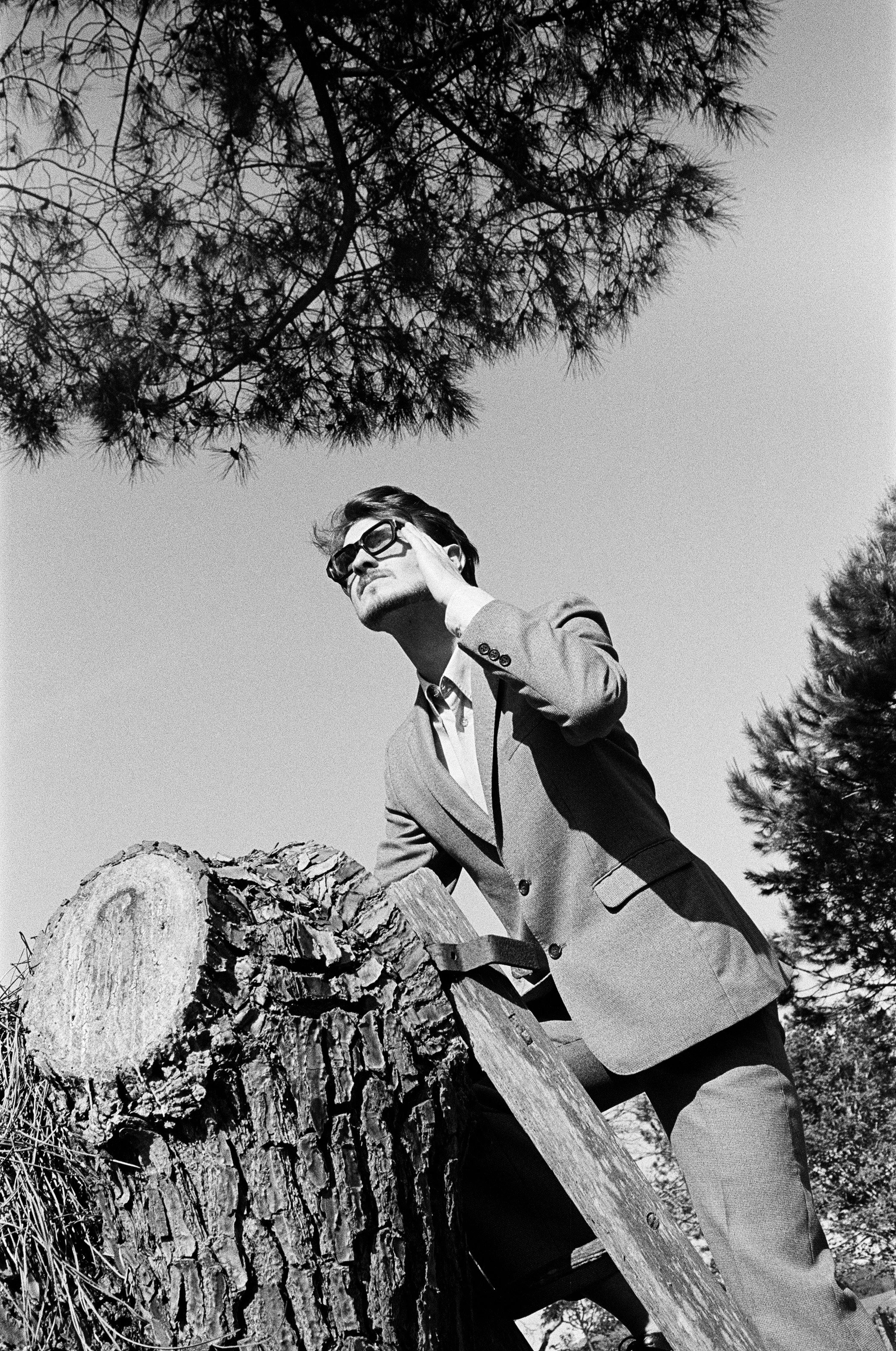 A man in a suit and glasses standing outdoors next to a cut tree trunk, speaking on a cell phone, with trees and a clear sky in the background.