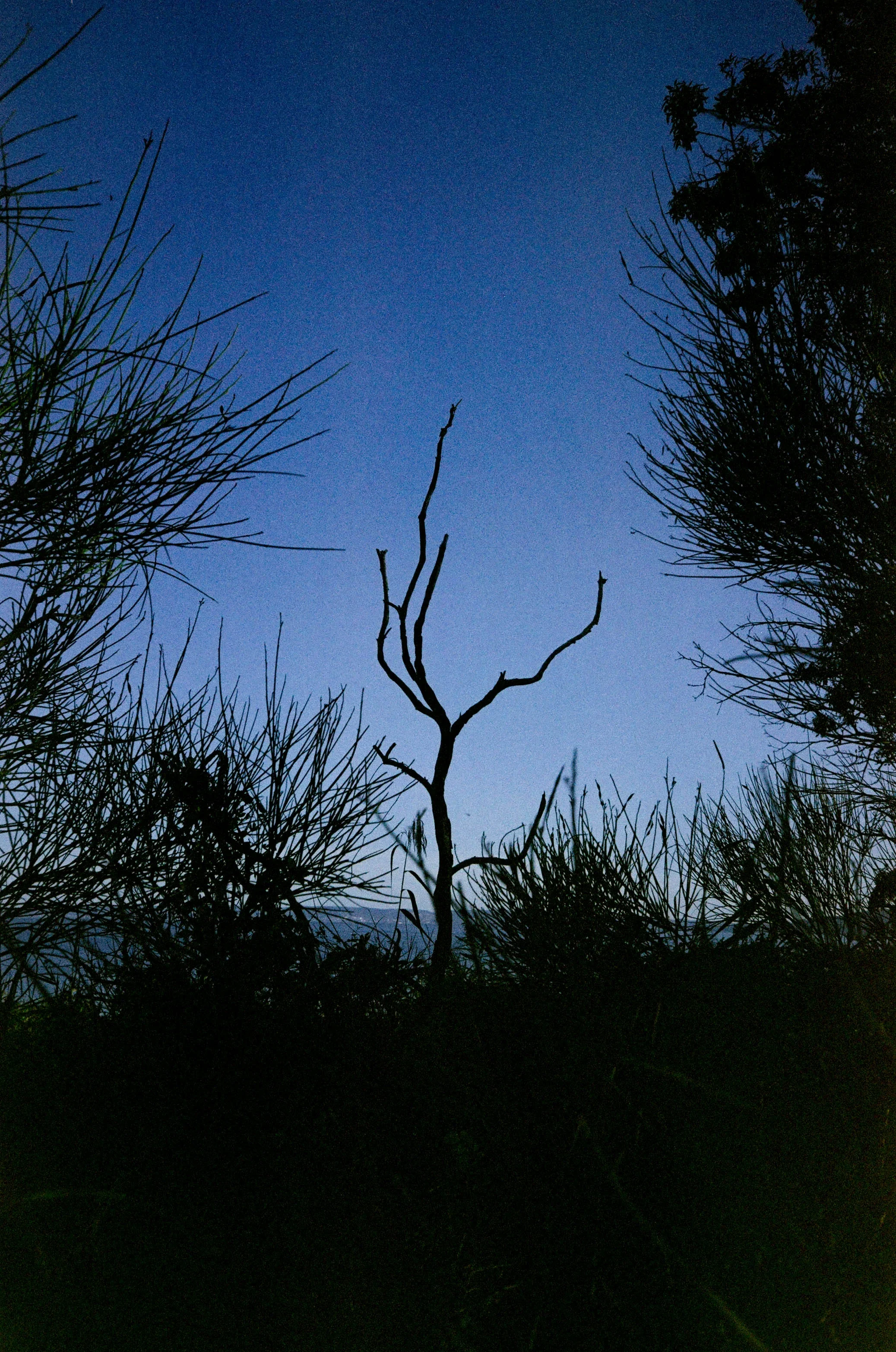 Blue sky, Saint Chamas, France 2025