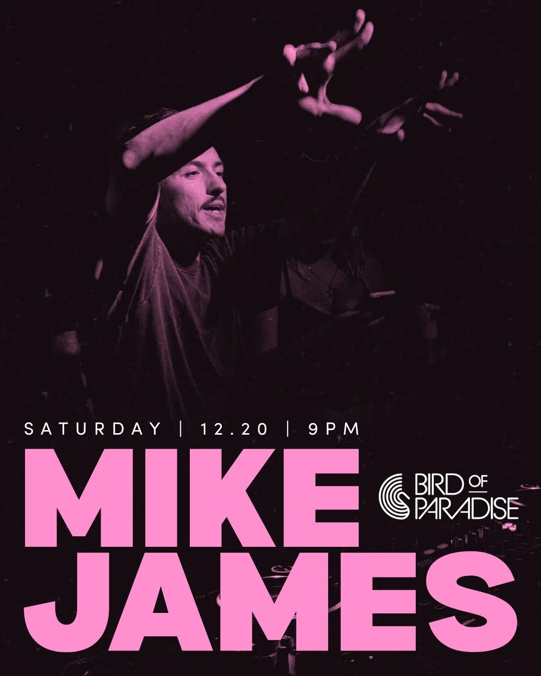 12/20 | 9PM | Bird of Paradise