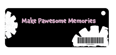 waggle ball_packaging-03.png
