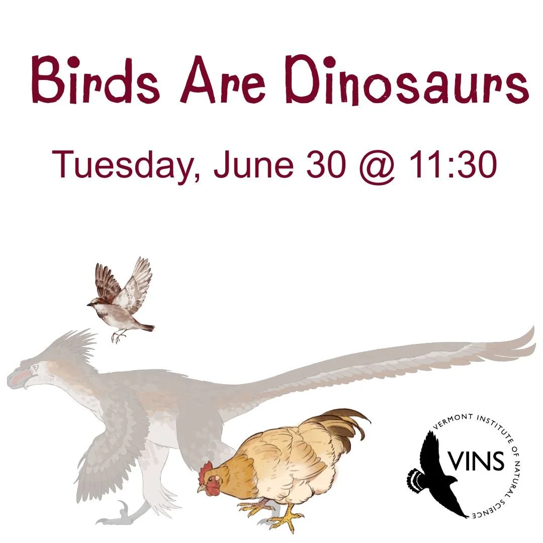 VINS: Birds are Dinosaurs!—Tuesday, June 30-11:30am–12:30pm
