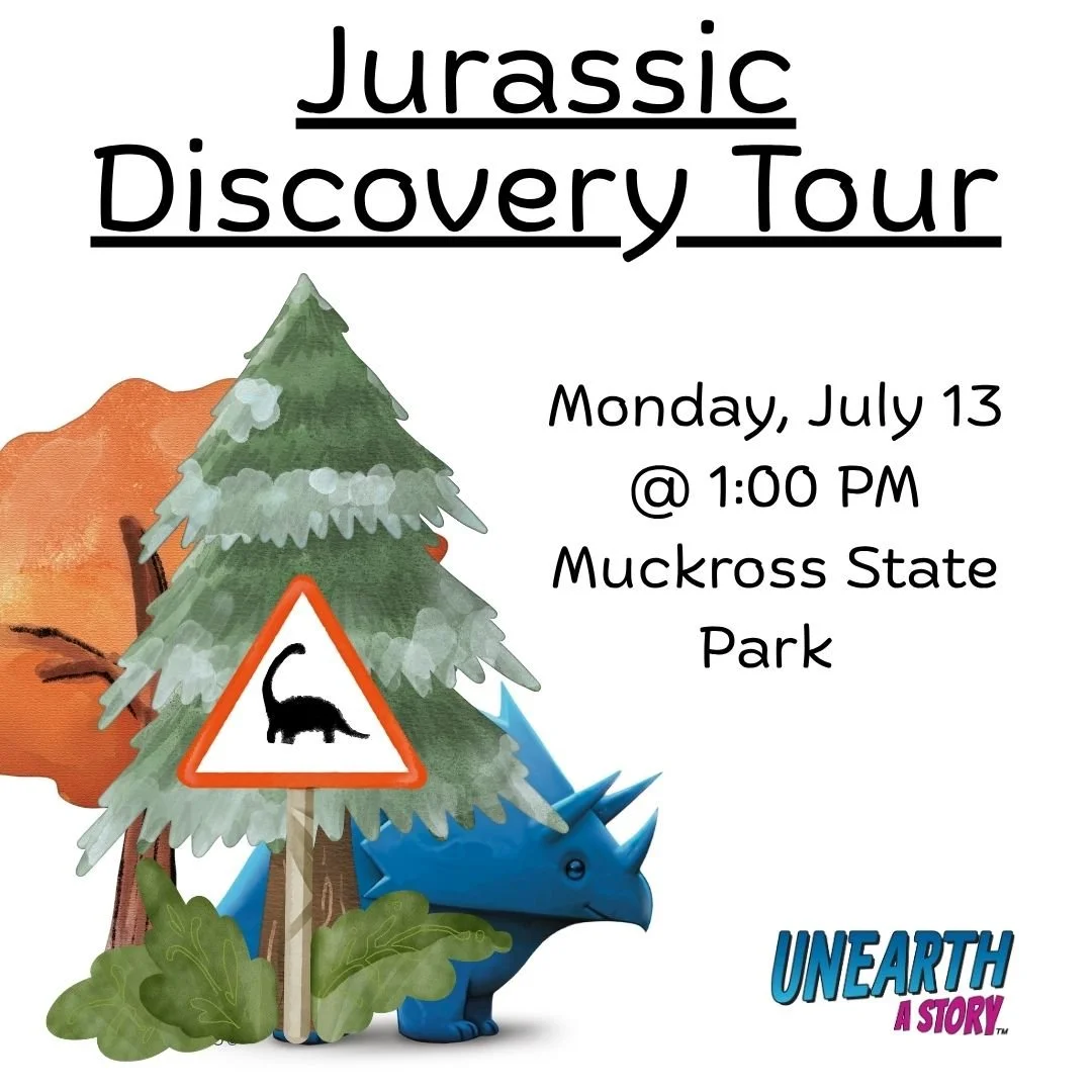 Jurassic Discovery Tour—Monday, July 13, 1-3:00pm (at Muckross State Park)