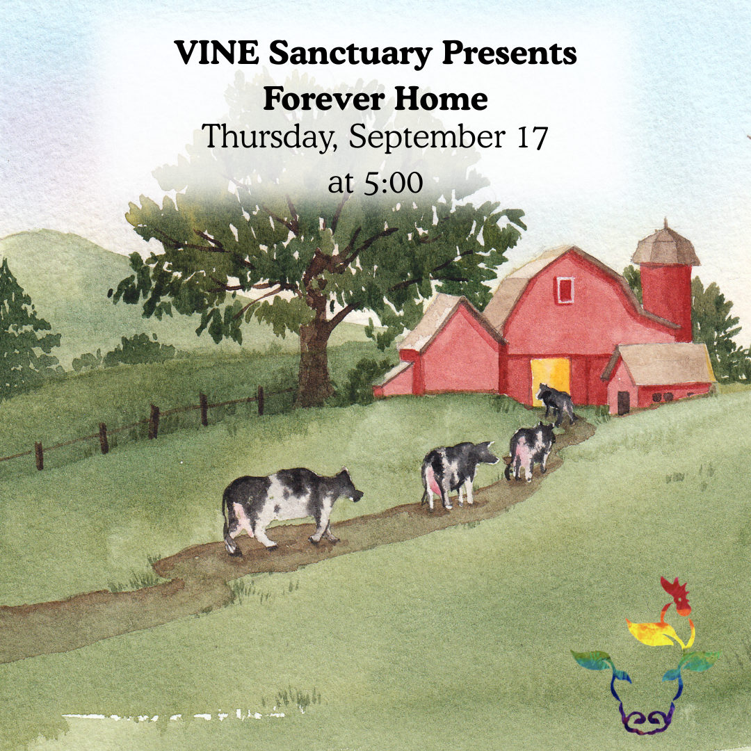 VINE Sanctuary Presents Forever Home, Thursday, September 17, 5-7:00pm