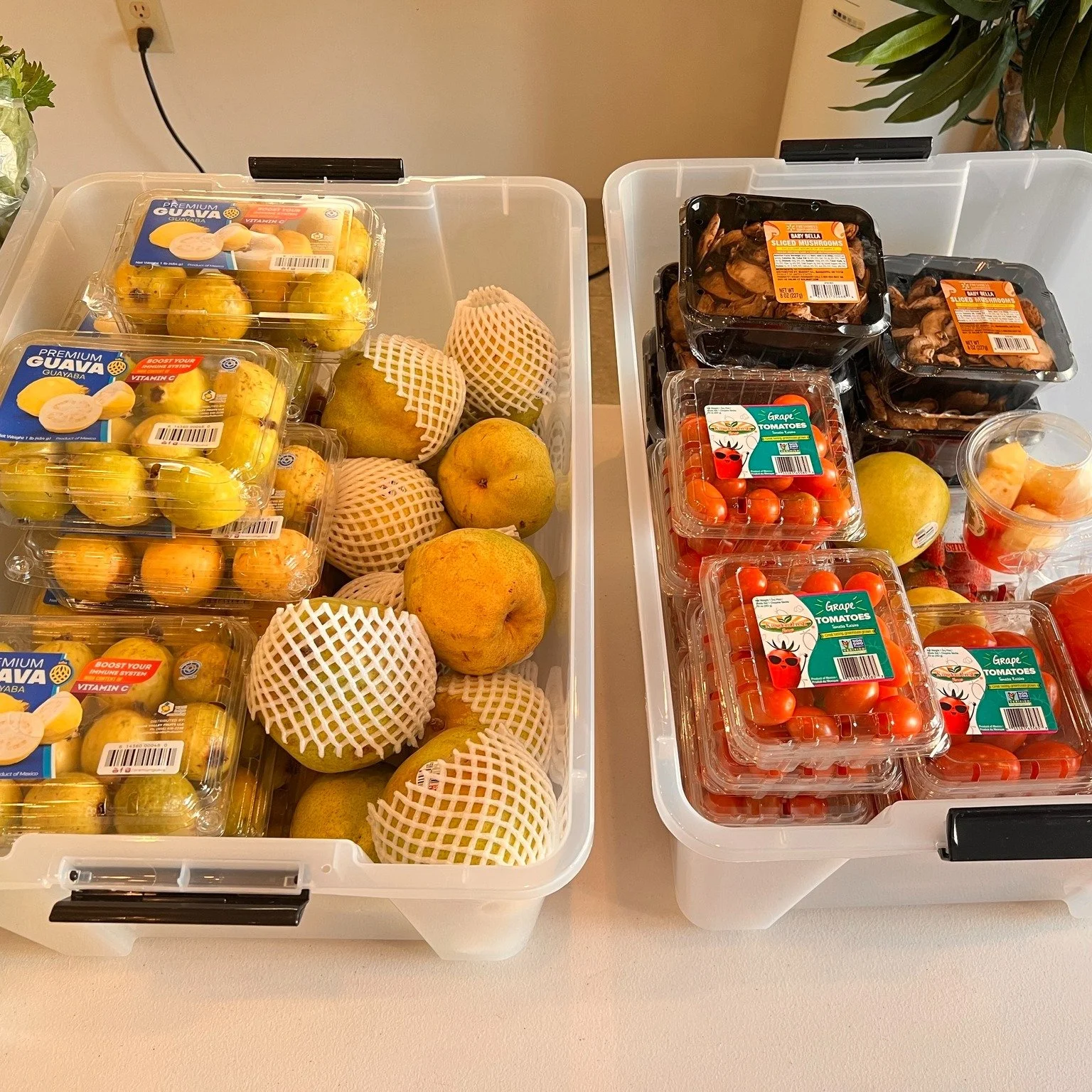 FREE Food!! You do NOT have to be a patient to take advantage! 🥕

Thanks to the generous donation from the Food Pantry, we have fresh produce, fruits, bread, and sweet treats to share with our community &ndash; free of charge! If you&rsquo;re in the