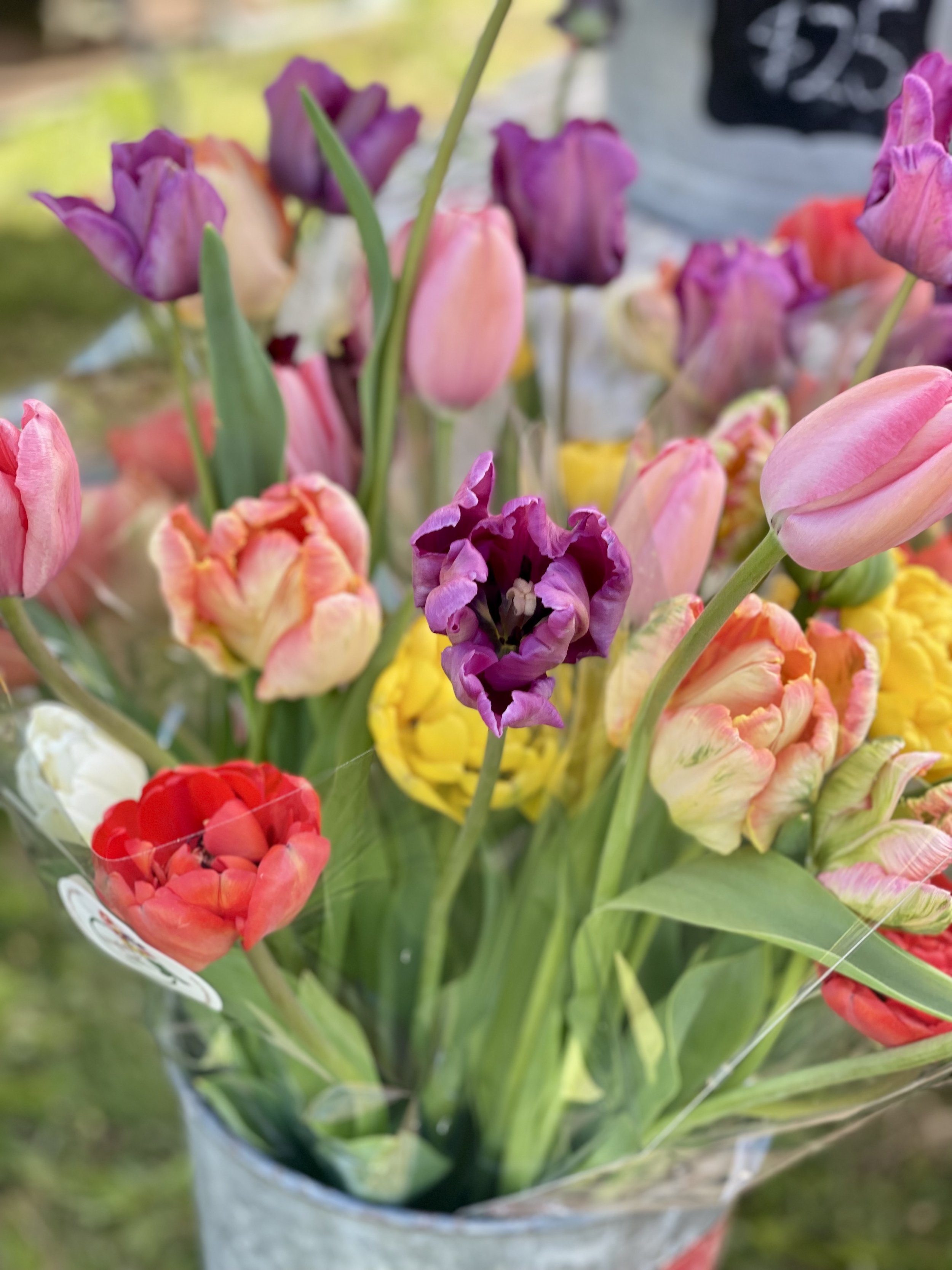 Tulipalooza