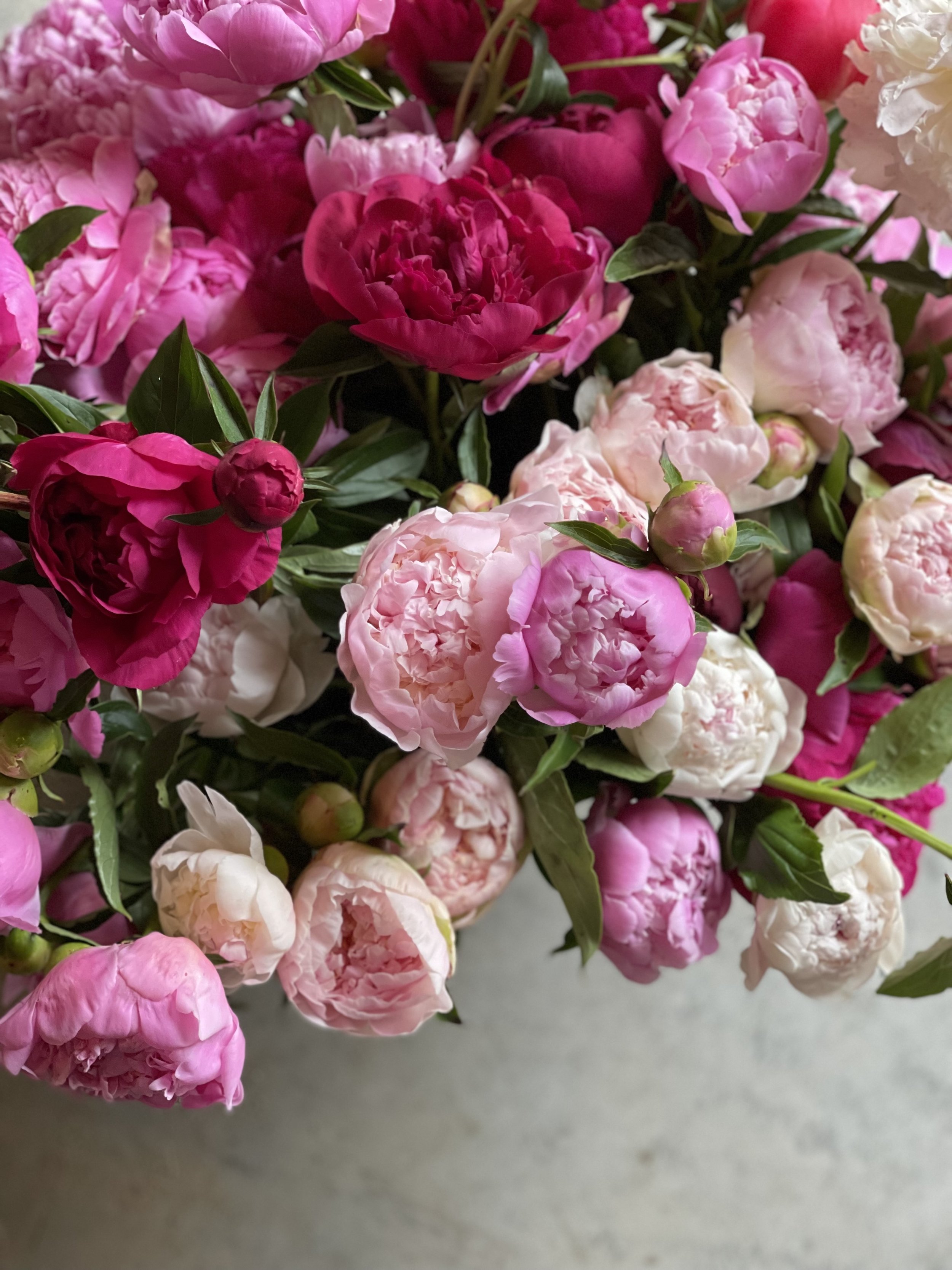 Peony Subscription (3 weeks)