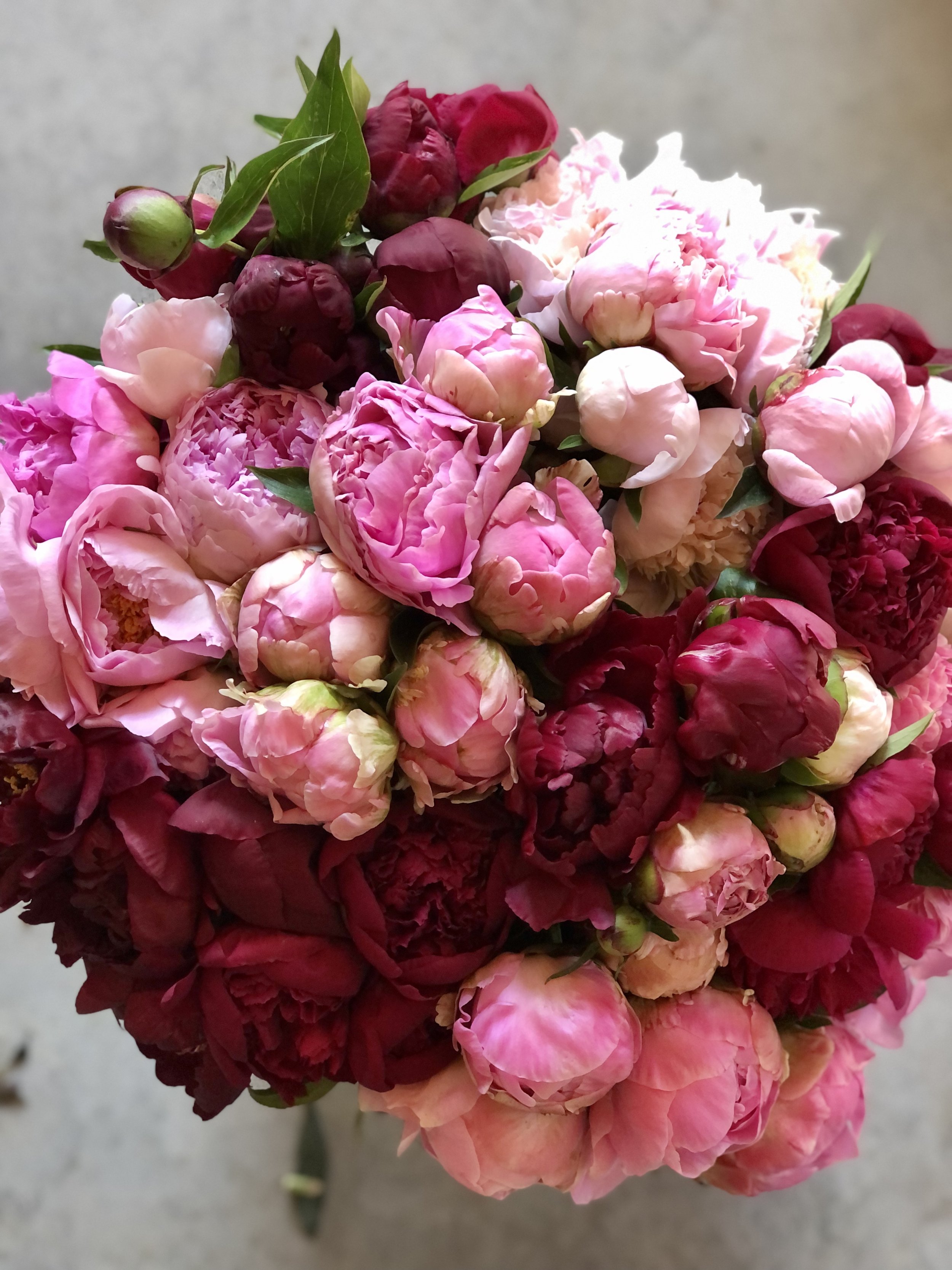Peony Subscription.jpeg