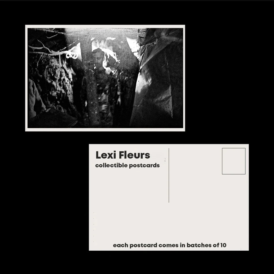 lexifleurs small bundle inside.jpg